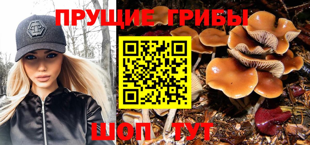 Псилоцибиновые грибы Magic Shrooms Севастополь